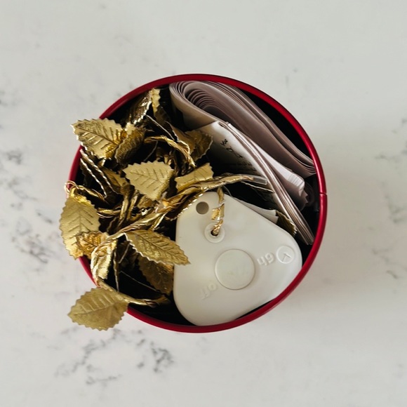 IKEA LED Strala Gold Leaf 🍂 String Lights - Picture 12 of 16